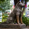 hajiko