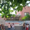 χολαργος