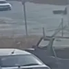 τροχαιο