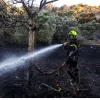 Φωτιά στη Ραφήνα