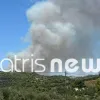 Φωτιά στην Ηλεία