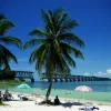 florida