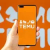 temu