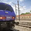 trainose