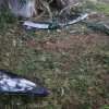 Τροχαίο