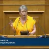 Η Έλενα Ακρίτα στη Βουλή