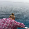 nautia