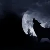 lykos
