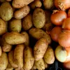 patates