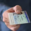 tautotita