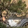 Τροχαίο με Tesla