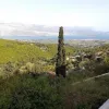 Καμιναράτα