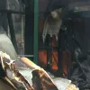 Φωτιά σε τρόφιμα στην Κέρκυρα