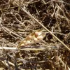 slider_Fava Cycle in the Greek Islands.JPG