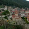 tithorea