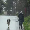 Ιδιοκτήτης περπατάει με το σκύλο του εν μέσω βροχής