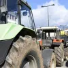 agrotes mploka