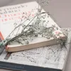 biblia βιβλία