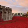 χαρακωματα