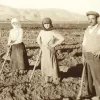 Ιστορία της αγροτιάς