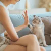 gata