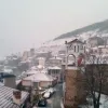 Χιόνι στην Ελασσόνα