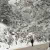 πάρνηθα