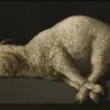 πίνακας του zurbaran