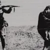 nazistiki katoxi