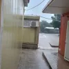 κεφαλον