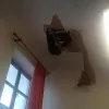 σοβα