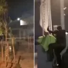 Ρουβίκωνας, Βιολάντα