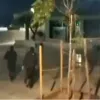 Ρουβίκωνας: Νέα επίθεση στα γραφεία της «Βιολάντα» στο Μενίδι