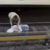 Ξάπλωσε στις ράγες του μετρό στις Βρυξέλλες