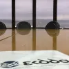ekdda