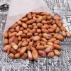 peanuts