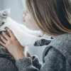 gata