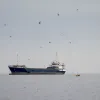 ορμο