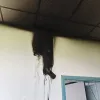 ενεγυλ