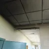 ενεγυλ