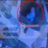 Κακοποίηση σε γατάκι από αντιδήμαρχο στην Κρήτη