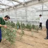 Αμερικανική Γεωργική Σχολή
