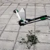 πατίνι