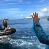 Συναγερμός στην Καραϊβική: Μαζική έξαρση νοροϊού