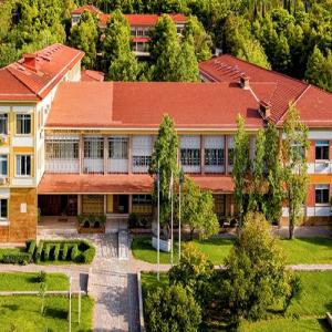 Παν.Πατρών: Μοριοδοτούμενο Εξ αποστάσεως Μεταπτυχιακό στη Διαπολιτισμική Εκπαίδευση