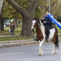 μαθητής άλογο