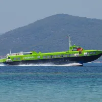 Flying Dolphin ΧVII