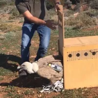 Λουκάς