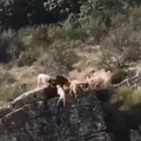 Σκληρές εικόνες