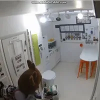 Έκανε ληστεία ντυμένη τάρανδος